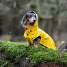 Rukka Pets Rukka Pets Stream Raincoat - Trendy gele hondenregenjas - Opening voor riem of harnas - Afneembare capuchon - In 11 maten Rukka Pets Rukka Pets Stream Raincoat - Trendy gele hondenregenjas - Opening voor riem of harnas - Afneembare capuchon - In 11 maten