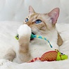 Petstages Petstages Speelgoedmuizen met Catnip voor Katten - Reinigt het gebit - 2 stuks per verpakking Petstages Petstages Speelgoedmuizen met Catnip voor Katten - Reinigt het gebit - 2 stuks per verpakking