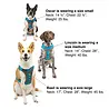 Kurgo Kurgo Journey Air - Hondenharnas voor actieve honden - Eenvoudig te bevestigen - Zwart/Grijs - XS, S, M, L en XL Kurgo Kurgo Journey Air - Hondenharnas voor actieve honden - Eenvoudig te bevestigen - Zwart/Grijs - XS, S, M, L en XL