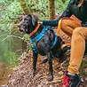 Kurgo Kurgo Journey Air - Hondenharnas voor actieve honden - Eenvoudig te bevestigen - Zwart/Grijs - XS, S, M, L en XL Kurgo Kurgo Journey Air - Hondenharnas voor actieve honden - Eenvoudig te bevestigen - Zwart/Grijs - XS, S, M, L en XL