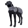 Rukka Pets Rukka Pets Shine regenjas - Reflecterende hondenjas - Waterafstotend materiaal – Lichtgewicht - in 9 maten Rukka Pets Rukka Pets Shine regenjas - Reflecterende hondenjas - Waterafstotend materiaal – Lichtgewicht - in 9 maten