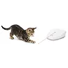 PetSafe PetSafe Laser Tail - Laserspeelgoed met veiligste laser - Schakelt Automatisch uit PetSafe PetSafe Laser Tail - Laserspeelgoed met veiligste laser - Schakelt Automatisch uit