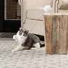 PetSafe PetSafe® Dancing Dot™ Laser Cat Toy - Interactief kattenspeelgoed met veilige laser PetSafe PetSafe® Dancing Dot™ Laser Cat Toy - Interactief kattenspeelgoed met veilige laser