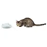 PetSafe PetSafe Zip - Automatisch Rondrijdend Kattenspeelgoed met Veilige Laser - Schakelt Automatisch uit PetSafe PetSafe Zip - Automatisch Rondrijdend Kattenspeelgoed met Veilige Laser - Schakelt Automatisch uit