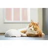 PetSafe PetSafe® Fox Den Toy - Automatisch Kattenspeelgoed met Rondzwaaiende Vossenstaart - Schakelt Automatisch uit PetSafe PetSafe® Fox Den Toy - Automatisch Kattenspeelgoed met Rondzwaaiende Vossenstaart - Schakelt Automatisch uit