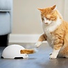 PetSafe PetSafe® Fox Den Toy - Automatisch Kattenspeelgoed met Rondzwaaiende Vossenstaart - Schakelt Automatisch uit PetSafe PetSafe® Fox Den Toy - Automatisch Kattenspeelgoed met Rondzwaaiende Vossenstaart - Schakelt Automatisch uit