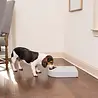 PetSafe PetSafe® 5-Meal Pet Feeder - Digitale Programmeerbare voerbak voor 5 Maaltijden - Automatisch 24/7 voeren PetSafe PetSafe® 5-Meal Pet Feeder - Digitale Programmeerbare voerbak voor 5 Maaltijden - Automatisch 24/7 voeren