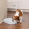 PetSafe PetSafe® 5-Meal Pet Feeder - Digitale Programmeerbare voerbak voor 5 Maaltijden - Automatisch 24/7 voeren PetSafe PetSafe® 5-Meal Pet Feeder - Digitale Programmeerbare voerbak voor 5 Maaltijden - Automatisch 24/7 voeren