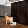 PetSafe PetSafe Automatic 2 Meal Pet Feeder - Automatische voerbak met 2 x 150 gram inhoud met instelbare timer - Voor honden en katten PetSafe PetSafe Automatic 2 Meal Pet Feeder - Automatische voerbak met 2 x 150 gram inhoud met instelbare timer - Voor honden en katten