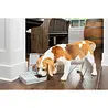 PetSafe PetSafe Automatic 2 Meal Pet Feeder - Automatische voerbak met 2 x 150 gram inhoud met instelbare timer - Voor honden en katten PetSafe PetSafe Automatic 2 Meal Pet Feeder - Automatische voerbak met 2 x 150 gram inhoud met instelbare timer - Voor honden en katten
