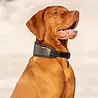 Rukka Pets Rukka Pets Luminous Soft Collar - Reflecterende halsband voor honden - Verstelbaar – Lichtgewicht - in maat S/M/L Rukka Pets Rukka Pets Luminous Soft Collar - Reflecterende halsband voor honden - Verstelbaar – Lichtgewicht - in maat S/M/L