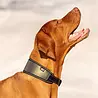 Rukka Pets Rukka Pets Luminous Soft Collar - Reflecterende halsband voor honden - Verstelbaar – Lichtgewicht - in maat S/M/L Rukka Pets Rukka Pets Luminous Soft Collar - Reflecterende halsband voor honden - Verstelbaar – Lichtgewicht - in maat S/M/L