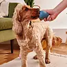 Beco Boredom Buster - Beco Pets - Verrijking voor de hond - Vulbaar kauwspeelgoed - Natuurlijk Rubber - Blauw of Groen Beco Boredom Buster - Beco Pets - Verrijking voor de hond - Vulbaar kauwspeelgoed - Natuurlijk Rubber - Blauw of Groen