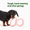 Beco Tough Tugger - Trekspeelgoed voor honden - Natuurlijk rubber - Beco Pets - Groen of Roze Beco Tough Tugger - Trekspeelgoed voor honden - Natuurlijk rubber - Beco Pets - Groen of Roze