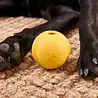 Beco Fetch Ball - Stuiterende Hondenbal - Ideaal voor apporteren - Past in werpstok - Beco Pets - Oranje of Geel Beco Fetch Ball - Stuiterende Hondenbal - Ideaal voor apporteren - Past in werpstok - Beco Pets - Oranje of Geel