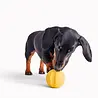 Beco Fetch Ball - Stuiterende Hondenbal - Ideaal voor apporteren - Past in werpstok - Beco Pets - Oranje of Geel Beco Fetch Ball - Stuiterende Hondenbal - Ideaal voor apporteren - Past in werpstok - Beco Pets - Oranje of Geel