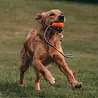 Beco Slinger Pebble - Lichtgewicht bal aan touw voor honden - Ideaal voor apporteren en trekspel - Beco Pets - Oranje of Geel Beco Slinger Pebble - Lichtgewicht bal aan touw voor honden - Ideaal voor apporteren en trekspel - Beco Pets - Oranje of Geel