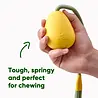 Beco Slinger Pebble - Lichtgewicht bal aan touw voor honden - Ideaal voor apporteren en trekspel - Beco Pets - Oranje of Geel Beco Slinger Pebble - Lichtgewicht bal aan touw voor honden - Ideaal voor apporteren en trekspel - Beco Pets - Oranje of Geel