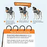 ThunderShirt Rustgevend Vest voor Pups en Honden tegen Angst en Stress - ThunderShirt - Maat XS t/m XL ThunderShirt Rustgevend Vest voor Pups en Honden tegen Angst en Stress - ThunderShirt - Maat XS t/m XL