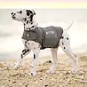 ThunderShirt Rustgevend Vest voor Pups en Honden tegen Angst en Stress - ThunderShirt - Maat XS t/m XL ThunderShirt Rustgevend Vest voor Pups en Honden tegen Angst en Stress - ThunderShirt - Maat XS t/m XL