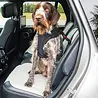Kong Kong Ultimate Safety Tether - Veiligheidsgordel voor je hond met 3 Isofix ankerpunten - Verstelbaar Kong Kong Ultimate Safety Tether - Veiligheidsgordel voor je hond met 3 Isofix ankerpunten - Verstelbaar