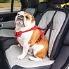 Kong Kong Ultimate Safety Tether - Veiligheidsgordel voor je hond met 3 Isofix ankerpunten - Verstelbaar Kong Kong Ultimate Safety Tether - Veiligheidsgordel voor je hond met 3 Isofix ankerpunten - Verstelbaar