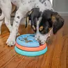 Outward Hound Outward Hound Puppy Lickin' Layers - Interactieve voerpuzzel voor Puppy's - Ook te gebruiken als slowfeeder - Level 2 Outward Hound Outward Hound Puppy Lickin' Layers - Interactieve voerpuzzel voor Puppy's - Ook te gebruiken als slowfeeder - Level 2