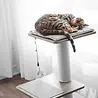 BeOneBreed Katt3 EVO Classic Gray – Krabpaal voor katten – Inclusief memory foam kussen, vilten mat en hangspeeltje – Afmetingen 42,5 x 37,5 x 76 cm - Grijs BeOneBreed Katt3 EVO Classic Gray – Krabpaal voor katten – Inclusief memory foam kussen, vilten mat en hangspeeltje – Afmetingen 42,5 x 37,5 x 76 cm - Grijs