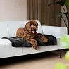 District 70 District 70 NUZZLE blanket - Superzachte hondendeken - Donkergrijs, Taupe en Merengue - 100 x70 cm District 70 District 70 NUZZLE blanket - Superzachte hondendeken - Donkergrijs, Taupe en Merengue - 100 x70 cm