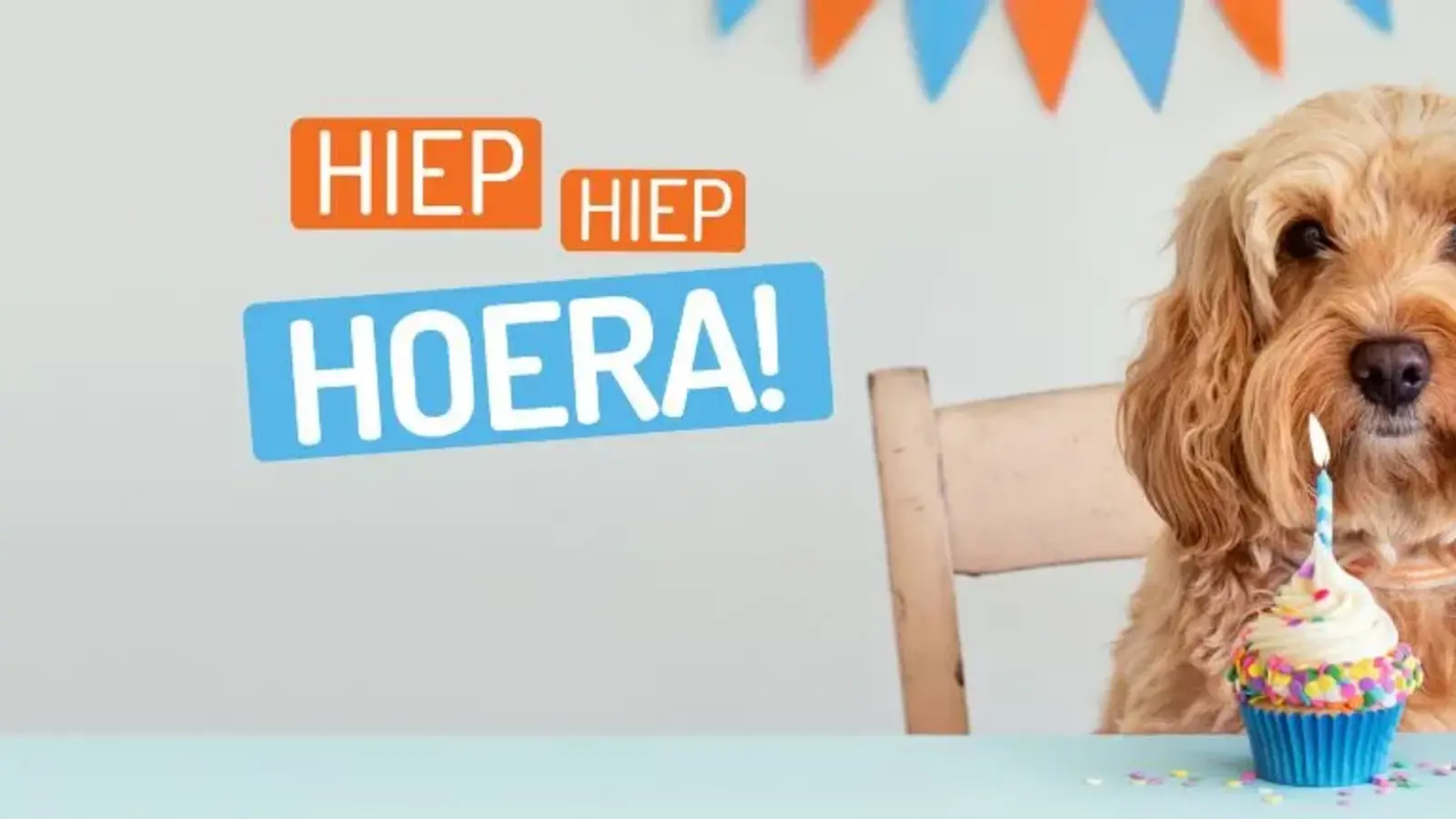 Verjaardagsfeest Voor Honden: Tips En Ideeën Voor Een Onvergetelijke Dag! -  Max&Luna