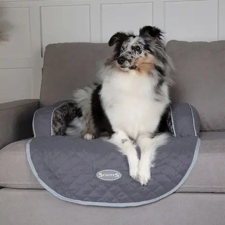 Scruffs Wilton Sofa Bed Max Luna