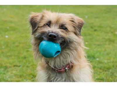 Holle Snackbal voor Brokjes - Sterk & Milieuvriendelijk - BecoBall in Groen, Blauw en Roze in maten S tot XL