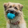 Beco Beco RubberTreat Ball - Snackbal voor Brokjes - Sterk & Milieuvriendelijk - Groen, Blauw en Roze - S/M/ L Beco Beco RubberTreat Ball - Snackbal voor Brokjes - Sterk & Milieuvriendelijk - Groen, Blauw en Roze - S/M/ L