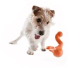 West Paw West Paw Tizzi Zogoflex - Speeltje voor actieve honden om ver te gooien - Blauw, Groen of Oranje in maat S of L West Paw West Paw Tizzi Zogoflex - Speeltje voor actieve honden om ver te gooien - Blauw, Groen of Oranje in maat S of L