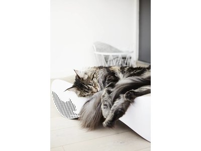 myKotty Trendy Kat Krabmeubel in Wit en Zwart