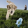 West Paw West Paw Tizzi Zogoflex - Speeltje voor actieve honden om ver te gooien - Blauw, Groen of Oranje in maat S of L West Paw West Paw Tizzi Zogoflex - Speeltje voor actieve honden om ver te gooien - Blauw, Groen of Oranje in maat S of L