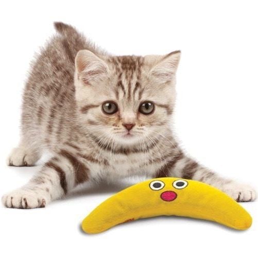 Uitdagend Speelgoed voor Kattenkruid -