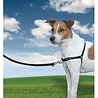 PetSafe Petsafe Easy Walk Anti Trek Tuig - Harnas inclusief Riem - Diverse kleuren - Maat S tot XL PetSafe Petsafe Easy Walk Anti Trek Tuig - Harnas inclusief Riem - Diverse kleuren - Maat S tot XL