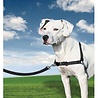 PetSafe Petsafe Easy Walk Anti Trek Tuig - Harnas inclusief Riem - Diverse kleuren - Maat S tot XL PetSafe Petsafe Easy Walk Anti Trek Tuig - Harnas inclusief Riem - Diverse kleuren - Maat S tot XL