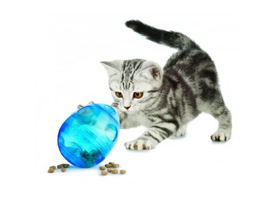 Speelgoed voor Kitten - Vulbaar speelgoed met instelbare uitdeelgaten - PetSafe Egg-Cersizer