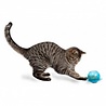 PetSafe PetSafe® Fishbowl Cat Feeder Toy - Kattenspeelgoed voor traktatie of voer - Stimuleert en houdt katten actief - Slowbowl PetSafe PetSafe® Fishbowl Cat Feeder Toy - Kattenspeelgoed voor traktatie of voer - Stimuleert en houdt katten actief - Slowbowl
