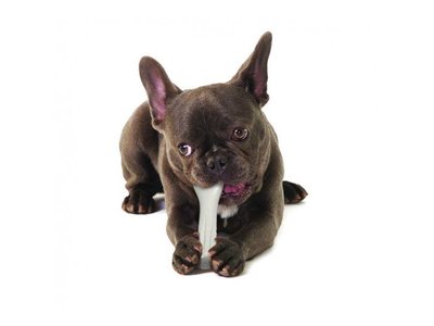 Duurzaam en Veilig Kauwbot voor Honden - Verwijderd Tandplak - Petstages - Verkrijgbaar in 4 maten: Extra Small (9,5cm); Small (12,7cm); Medium (17,8cm) en Large (20,3cm)