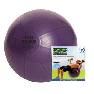 FITNESS MAD Swiss Ball avec pompe 500kg 55 cm (1,3 kg) violet