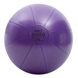 FITNESS MAD Studio Pro anti-burst 500Kg Swiss Gym Ball 75cm (2.1kg) with pump purple