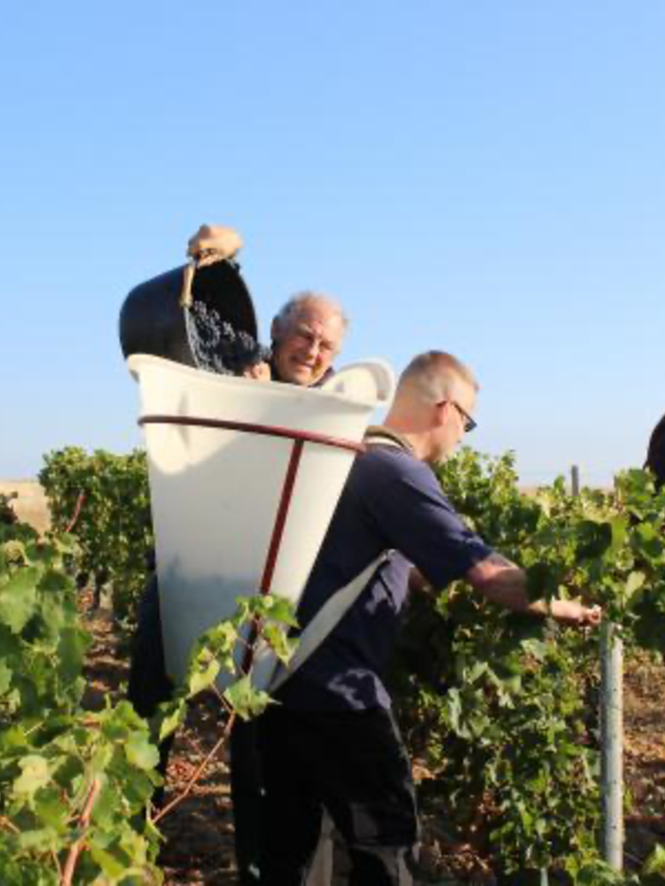 Reuilly Rosé Les Fossiles 2025