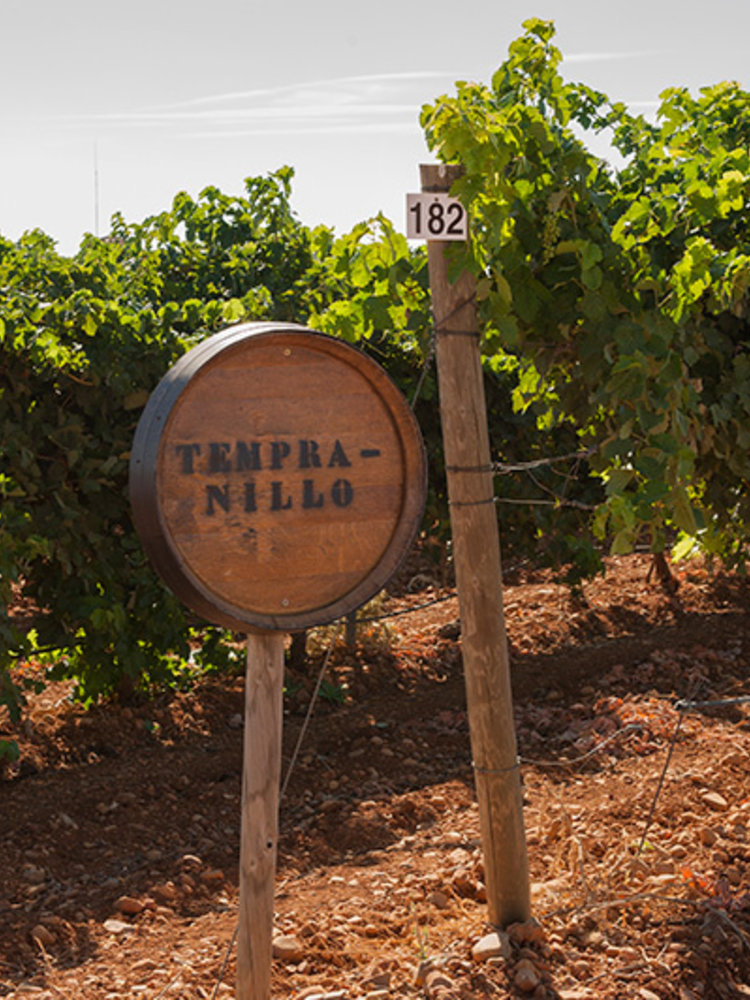 Familia Conesa Viña Consolación Tempranillo 2019