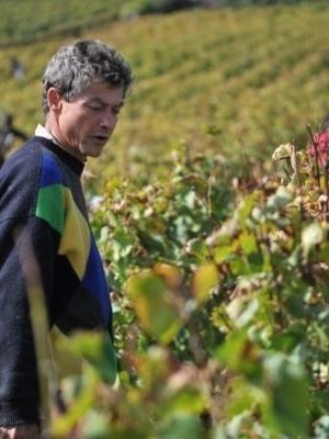 Sylvain Loichet Ladoix Les Grechons 1er Cru 2013