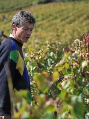 Sylvain Loichet Sylvain Loichet Ladoix 'Bois de Grechons' BIO 2020