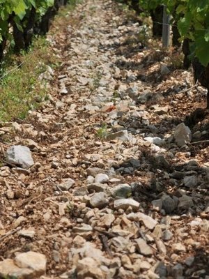 Sylvain Loichet Ladoix Les Grechons 1er Cru 2013