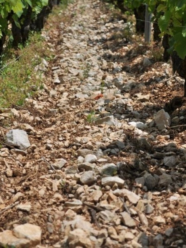 Sylvain Loichet Meursault Clos du Cromin 2019